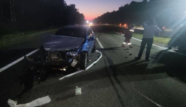 Лось спровоцировал смертельное ДТП на трассе М1 Брест – Минск – граница РФ