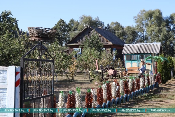 Смотрите, какой уют и красоту создают жители деревни Молодельчицы на своих подворьях (Брестская область)