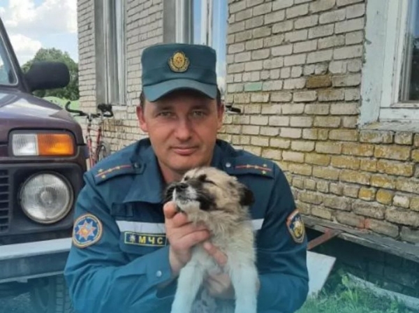 В Жабинке сотрудники МЧС спали щенка
