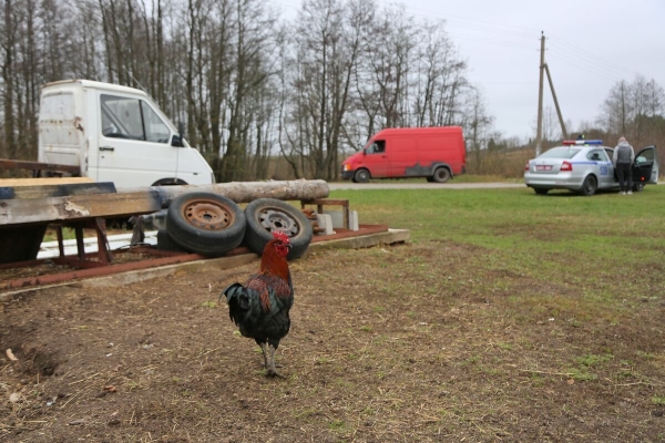 Что думают водители о камерах фотофиксации, которые ловят авто без техосмотра?