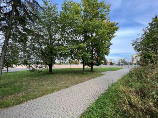 В Бресте продадут с аукциона участок под объект общепита возле Брестской крепости