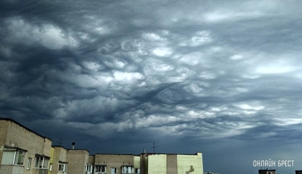 В Бресте и области на завтра объявлен оранжевый уровень из-за сильного ветра