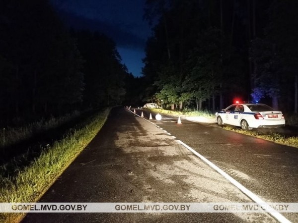 Жуткое ДТП под Гомелем: водитель не смог выбраться из огня