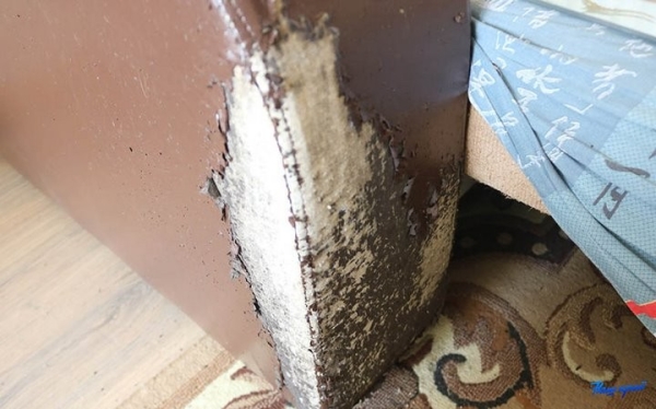 «Добили новую квартиру!»: в Брестской области выселили должников, пока их не было дома