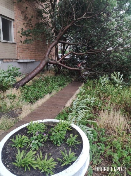 Читатель: Дерево упало во дворе общежития по улице 3-ий Заводской переулок, никто не пострадал
Читатель: Дерево упало во дворе общежития по улице 3-ий Заводской переулок, никто не пострадал