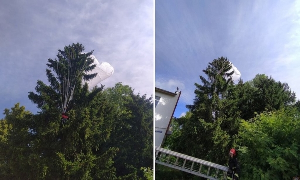 В Беларуси парашютистка застряла в ветвях высокой ели. Что было дальше В Беларуси парашютистка застряла в ветвях высокой ели. Что было дальше