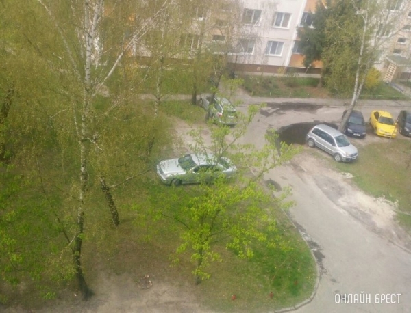 В Бресте коммунальные службы просят водителей не парковаться на зеленых зонах и рядом с ними