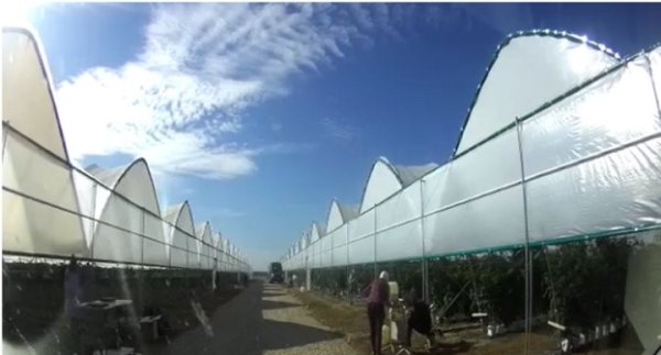 Налоговая использовала квадрокоптер, чтобы уличить фермера в выплате зарплат в конвертах. Случай в Брестской области