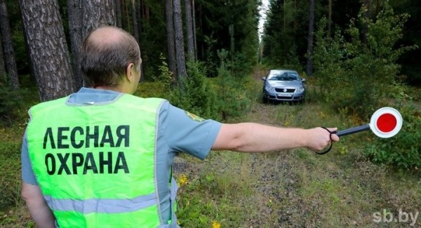 Под запретом — почти вся Брестская область. Где нельзя посещать леса?