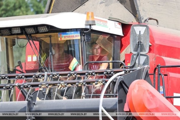 В Пружанском районе идет жатва. Фоторепортаж