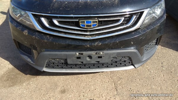 Собаки — это понятно. А посмотрите, что с машиной может сделать кот