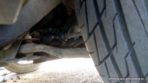 Собаки — это понятно. А посмотрите, что с машиной может сделать кот