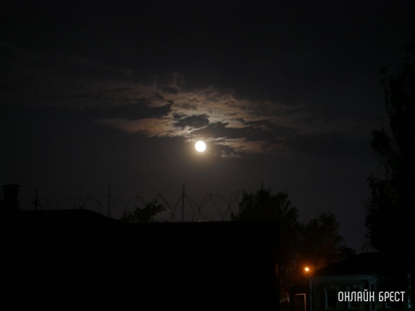 Брестчане могут наблюдать звездопад Персеиды в ближайшие ночи