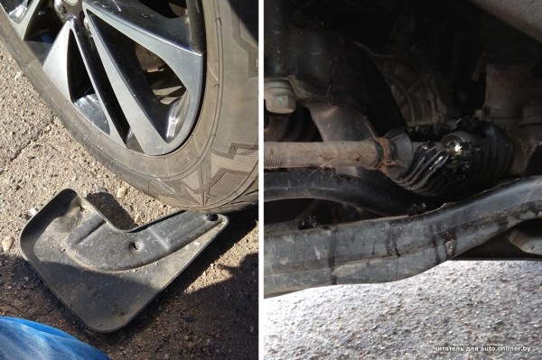 Собаки — это понятно. А посмотрите, что с машиной может сделать кот