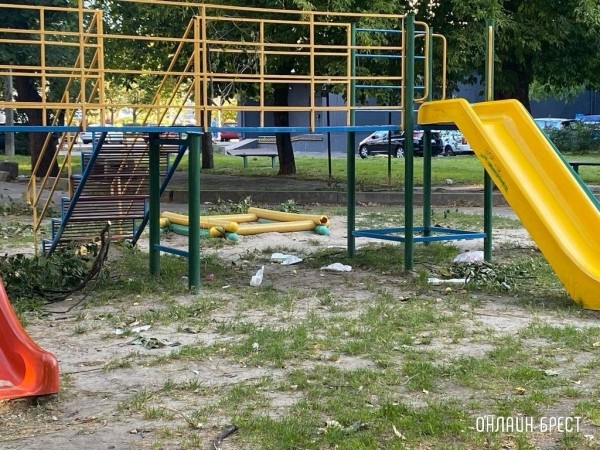 
                Читатель: Территория детской площадки нуждается в уборке. Брест, бульвар Космонавтов, 33
            