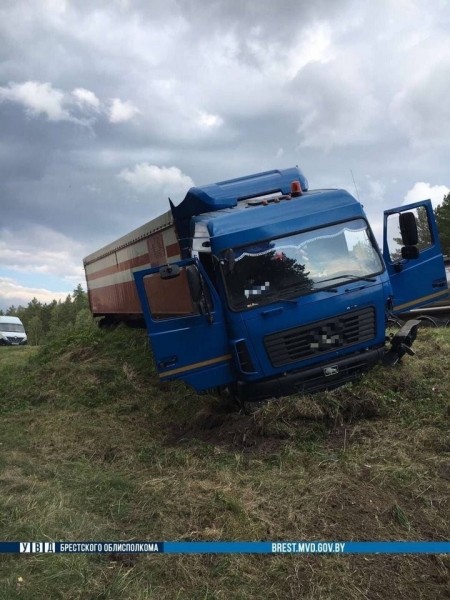 МАЗ врезался в «Рено». Стали известности подробности ДТП в Брестской области МАЗ врезался в «Рено». Стали известности подробности ДТП в Брестской области