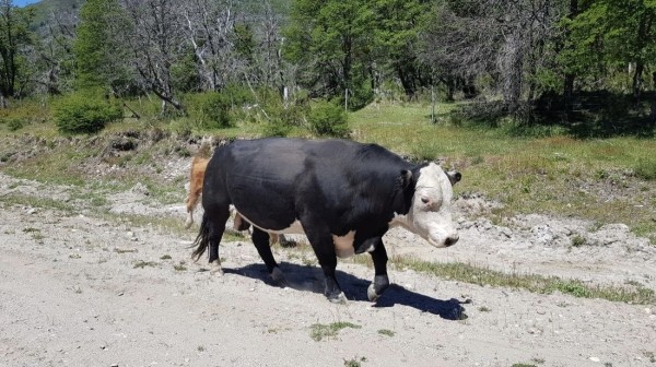 Белорус преодолел почти 50 тысяч километров меньше чем за месяц Белорус преодолел почти 50 тысяч километров меньше чем за месяц
