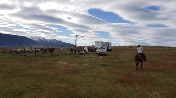 Белорус преодолел почти 50 тысяч километров меньше чем за месяц Белорус преодолел почти 50 тысяч километров меньше чем за месяц
