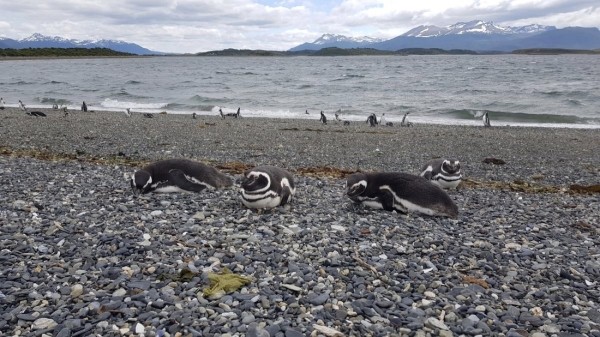 Белорус преодолел почти 50 тысяч километров меньше чем за месяц Белорус преодолел почти 50 тысяч километров меньше чем за месяц