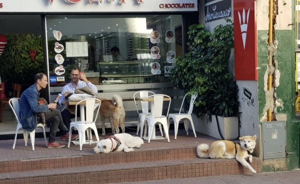 Белорус преодолел почти 50 тысяч километров меньше чем за месяц Белорус преодолел почти 50 тысяч километров меньше чем за месяц