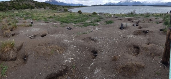 Белорус преодолел почти 50 тысяч километров меньше чем за месяц Белорус преодолел почти 50 тысяч километров меньше чем за месяц