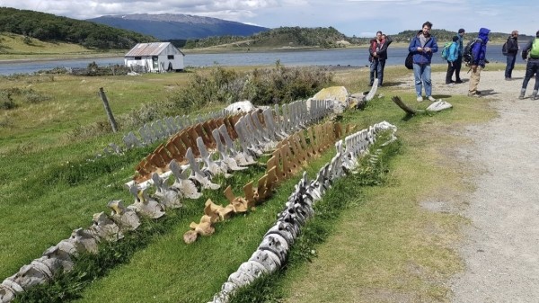 Белорус преодолел почти 50 тысяч километров меньше чем за месяц Белорус преодолел почти 50 тысяч километров меньше чем за месяц