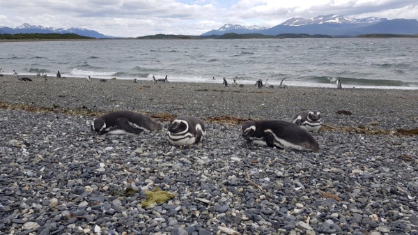 Белорус преодолел почти 50 тысяч километров меньше чем за месяц Белорус преодолел почти 50 тысяч километров меньше чем за месяц