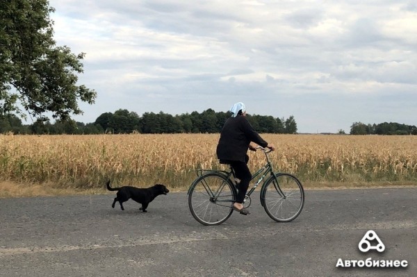 Быстрее или дешевле? Сколько можно сэкономить на медленной езде Быстрее или дешевле? Сколько можно сэкономить на медленной езде
