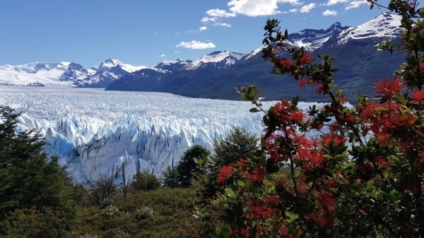 Белорус преодолел почти 50 тысяч километров меньше чем за месяц Белорус преодолел почти 50 тысяч километров меньше чем за месяц