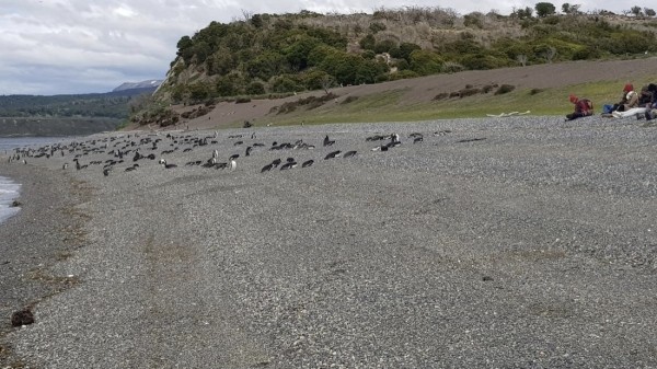 Белорус преодолел почти 50 тысяч километров меньше чем за месяц Белорус преодолел почти 50 тысяч километров меньше чем за месяц