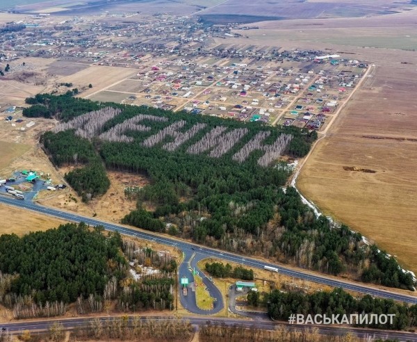 Более трети территории Брестской области покрыты лесами Более трети территории Брестской области покрыты лесами