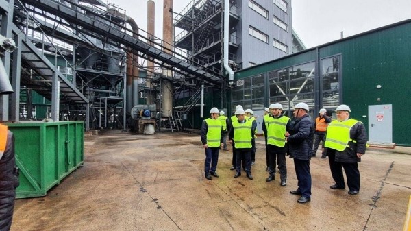 В Ивацевичском районе запустили новый цех по выращиванию шампиньонов В Ивацевичском районе запустили новый цех по выращиванию шампиньонов