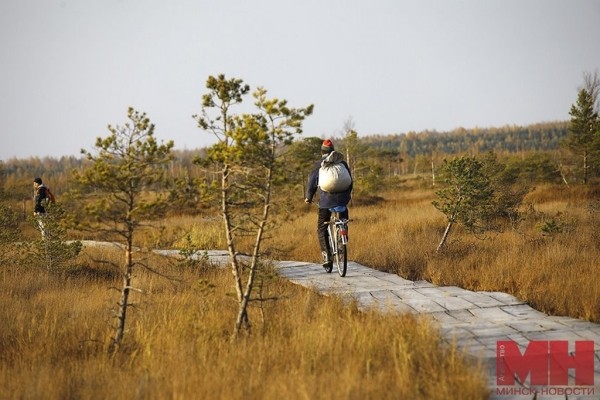 А вы знали, что в Беларуси есть места, похожие на тундру? Где их искать