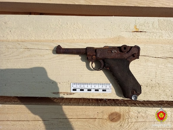 Брестчанка приобрела дом и обнаружила в нем пистолет