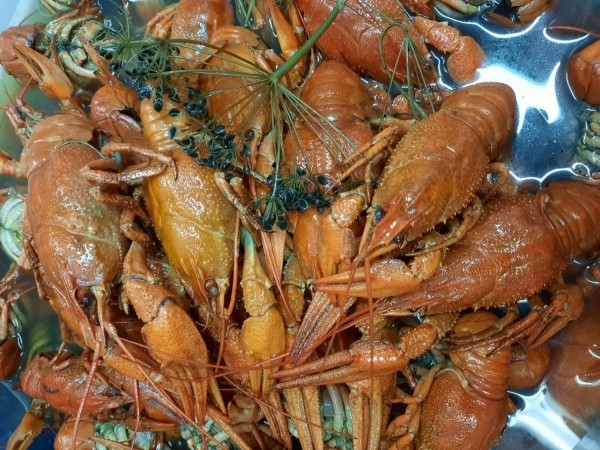 Загляни на осеннюю акцию в бары-магазины «Пиво Мастер» в Бресте Загляни на осеннюю акцию в бары-магазины «Пиво Мастер» в Бресте