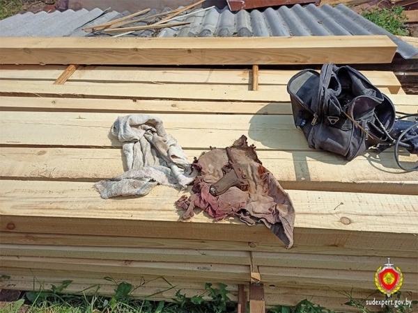 Брестчанка приобрела дом и обнаружила в нем пистолет