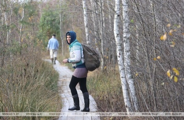 Ольманские болота - клюквенный рай (Брестская область)