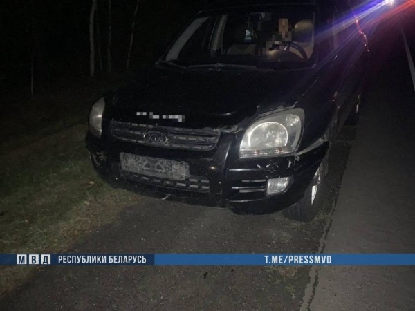 В Брестской области сбитого автомобилем KIA лося отбросило на Audi – двое погибших В Брестской области сбитого автомобилем KIA лося отбросило на Audi – двое погибших