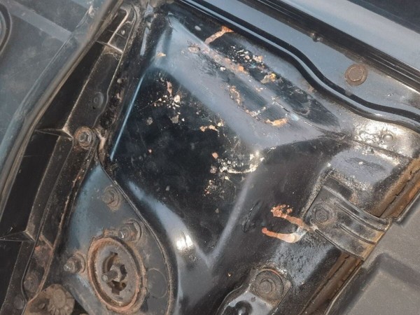 Белоруска купила Mazda по совету подборщика, а на СТО рассмеялись. Можно ли вернуть деньги?