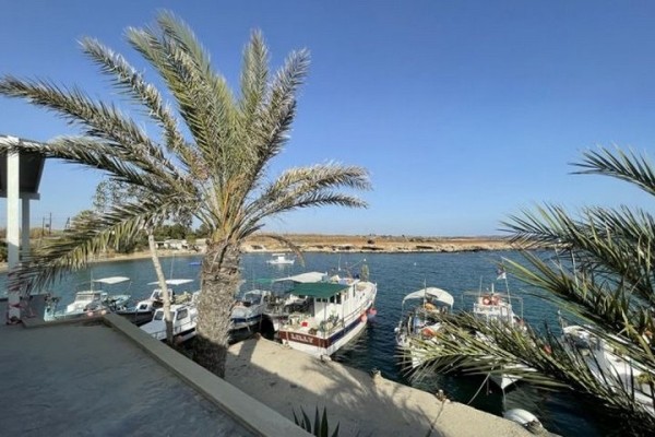 Белорусский предприниматель, уже больше года живущий и работающий на Кипре, делится опытом Белорусский предприниматель, уже больше года живущий и работающий на Кипре, делится опытом