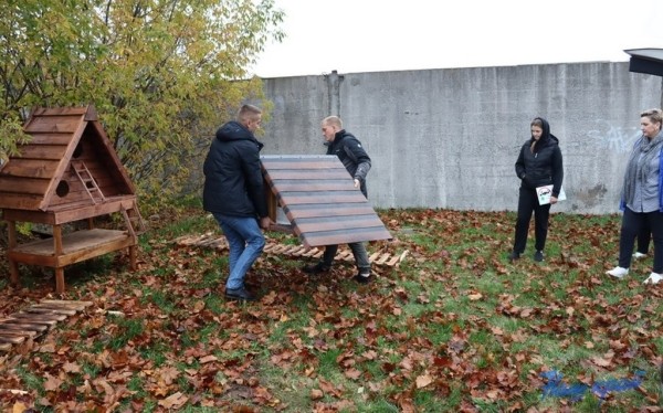 В Барановичах установили первые домики для бездомных котов В Барановичах установили первые домики для бездомных котов