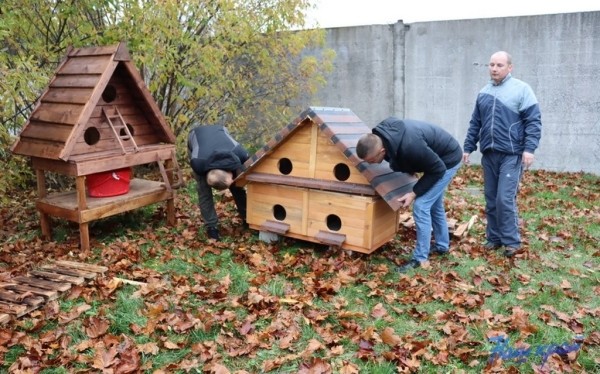В Барановичах установили первые домики для бездомных котов В Барановичах установили первые домики для бездомных котов
