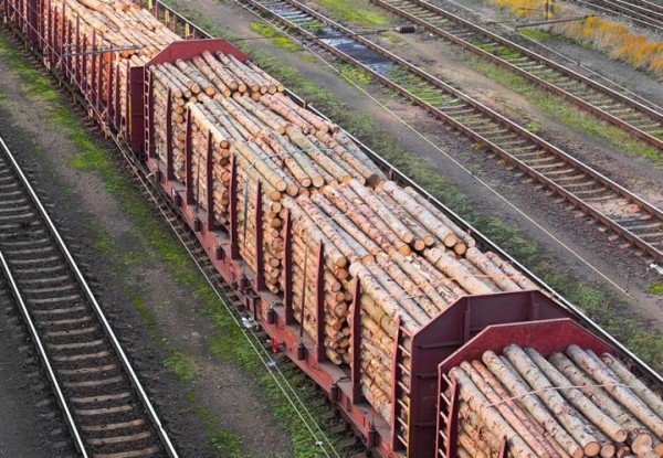 Что Беларусь покупает у Индии – посмотрели статистику Что Беларусь покупает у Индии – посмотрели статистику