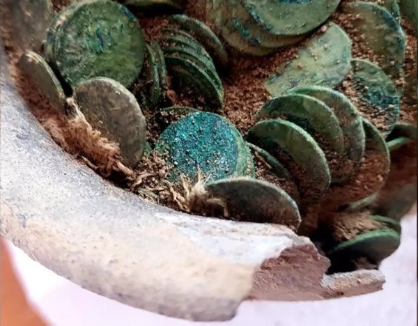 В Польше на ферме нашли клад из тысячи медных монет — им 400 лет