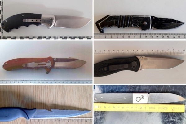 На границе Германии и Австрии у белоруса на фуре изъяли нож