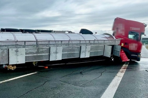 В Германии опрокинулась цистерна с жиром, которой управлял белорус