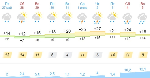 На ближайшие сутки по Бресту и области объявлен оранжевый уровень из-за ветра