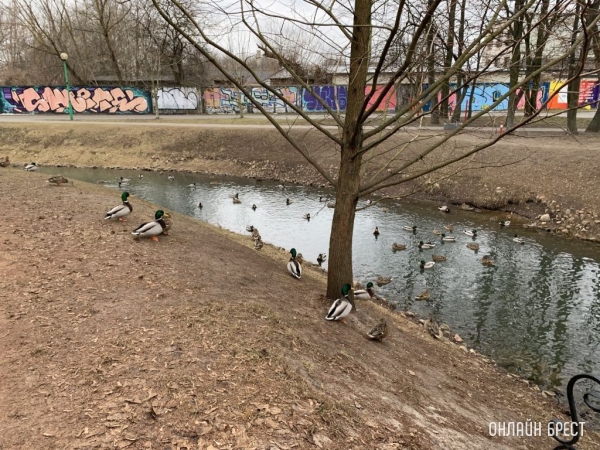 Вырастут пенсии, детские пособия, зарплаты бюджетников. Что еще изменится в Беларуси с 1 ноября
