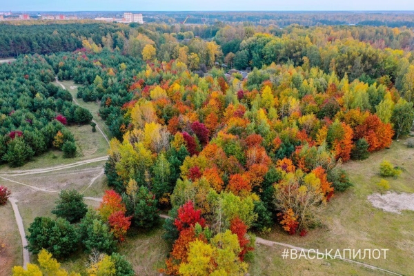 
                Краски осеннего Бреста
            