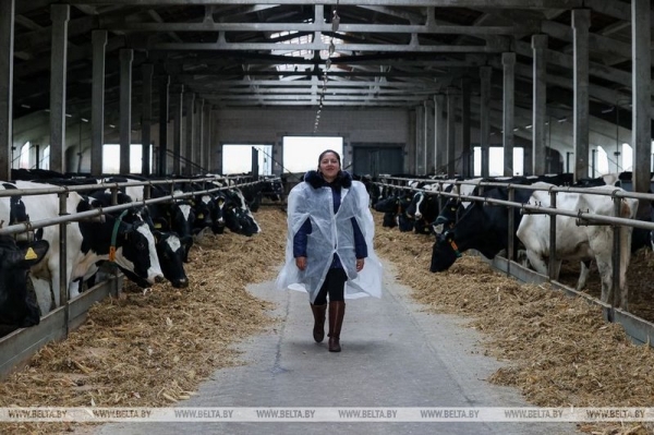 Через полмира в белорусскую глубинку: эквадорка стала ветврачом в Березовском районе Через полмира в белорусскую глубинку: эквадорка стала ветврачом в Березовском районе